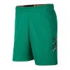 Nike Mens Short Green