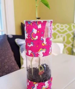 Tennis Happies Karma Kans - The Good Luck Plant! -NIKE shop karma kans 1 scaled